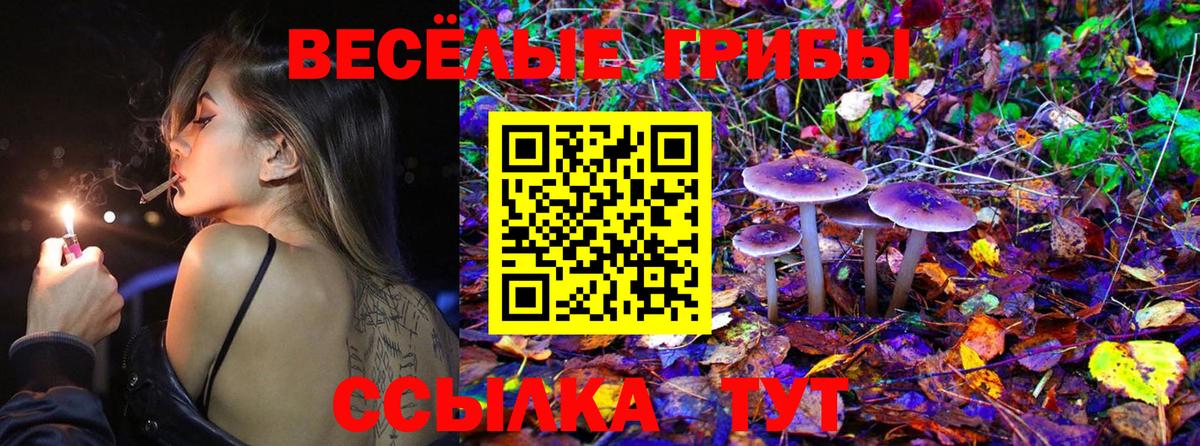цены   Псилоцибиновые грибы MAGIC MUSHROOMS  Галлюциногенные грибы мухоморы  Вход с VPN  Приморско-Ахтарск 